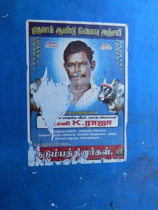 Poster of Karthiga's deceased father depicted with his bulls, Usilampatti